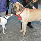 Wagenweihe 2014 212.jpg