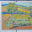 DSCN1956.JPG