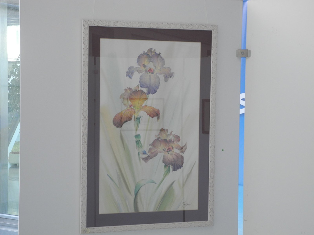 DSCN1958.JPG