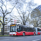 234528683-1.jpg