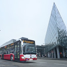 291584783-1.jpg