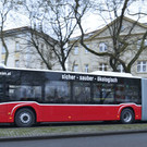 294919945-1.jpg