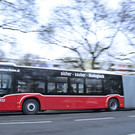 493709126-1.jpg