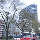 1162164171-1.jpg