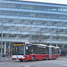 1838882250-1.jpg