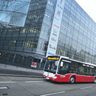 1956179327-1.jpg