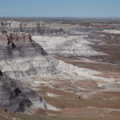 Petrified Forest.JPG
