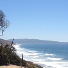 Westcoast 2.JPG