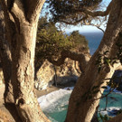 Westcoast 4.JPG