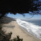 Westcoast 10.JPG