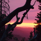 Yosemite 1.JPG
