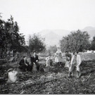 roethis01.jpg