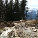 DSC02311.JPG