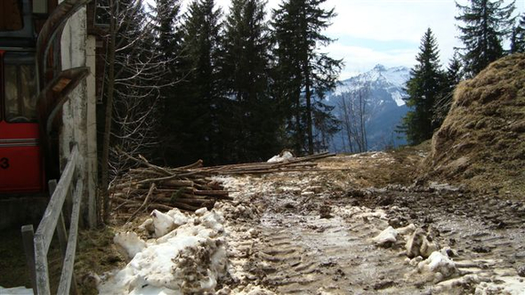 DSC02311.JPG