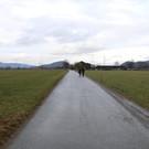 Wohlwendweg_2.JPG