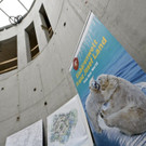ABD0022-20140108.jpg