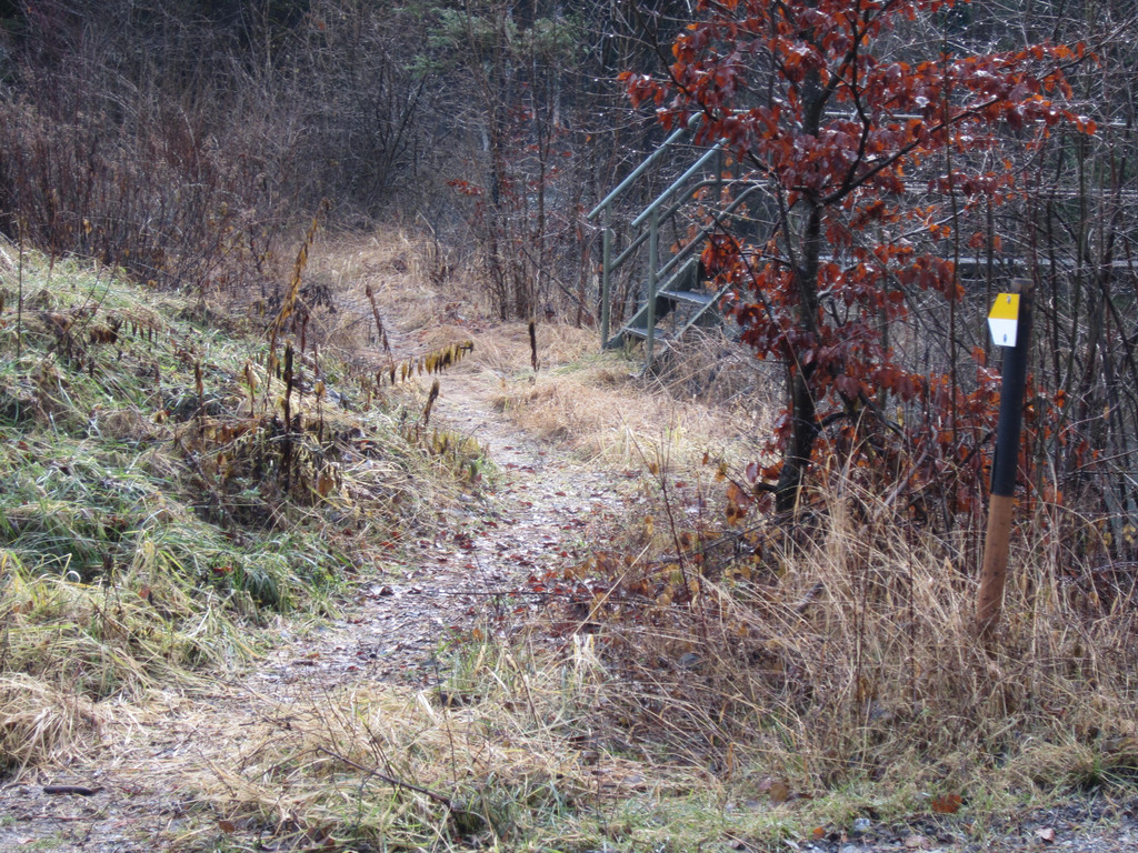 Hochwasser3.JPG