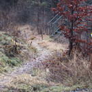 Hochwasser3.JPG