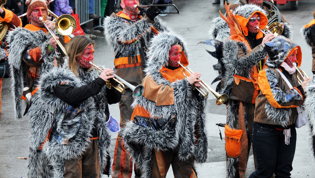 Fasching Fu__ach 2 20-01-2013 40.jpg