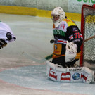 IMG_6522.jpg
