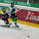 IMG_6590.jpg