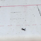 GEPA-10011451038.JPG