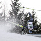 IBD0279-20140110.jpg