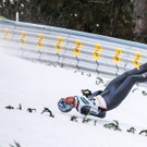 IBD0287-20140110.jpg