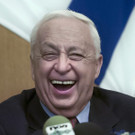 IBD0458-20140111.jpg