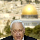 IBD0437-20140111.jpg