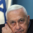 IBD0460-20140111.jpg