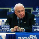 IBD0451-20140111.jpg