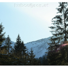 _MG_3312_jpg-1270112928