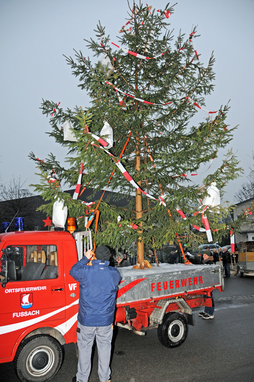 Christbaum Fu__ach 11-01-20145 4.jpg