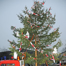 Christbaum Fu__ach 11-01-20145 4.jpg