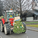 Christbaum Fu__ach 11-01-20145 6.jpg