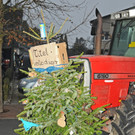 Christbaum Fu__ach 11-01-20145 9.jpg