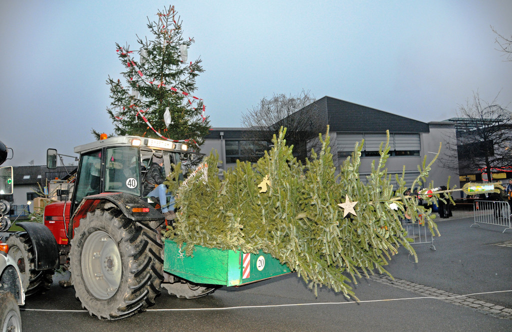 Christbaum Fu__ach 11-01-20145 8.jpg