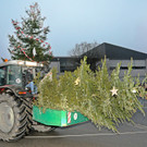 Christbaum Fu__ach 11-01-20145 8.jpg