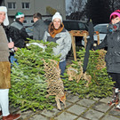 Christbaum Fu__ach 11-01-20145 17.jpg