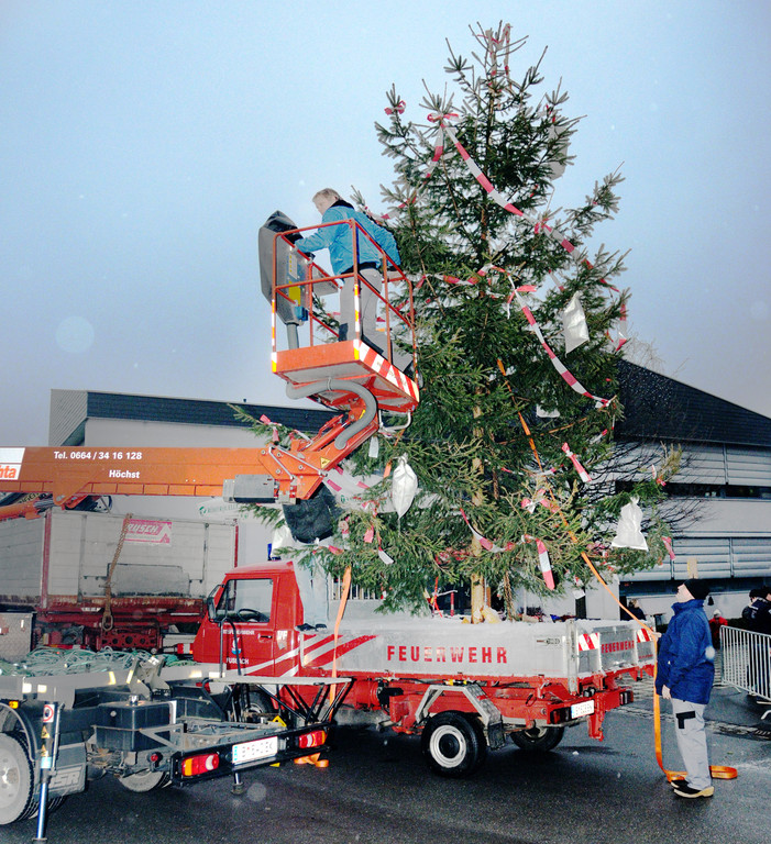 Christbaum Fu__ach 11-01-20145 20.jpg