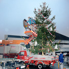 Christbaum Fu__ach 11-01-20145 20.jpg