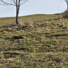 DSC_0030.JPG