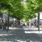 DSCN9240.JPG