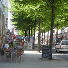DSCN9242.JPG