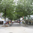 DSCN0177.JPG