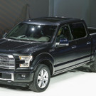 IBD1200-20140113.jpg