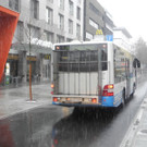 DSCN2073.JPG