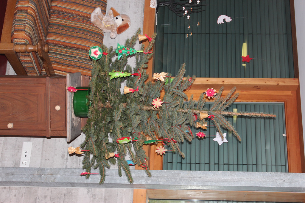 IMG_2318 - Kopie.JPG