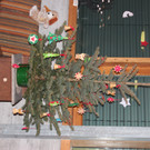 IMG_2318 - Kopie.JPG